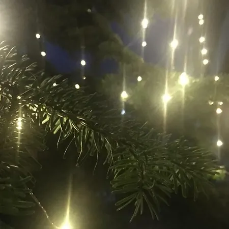 Cozy & Quiet Lejlighed *