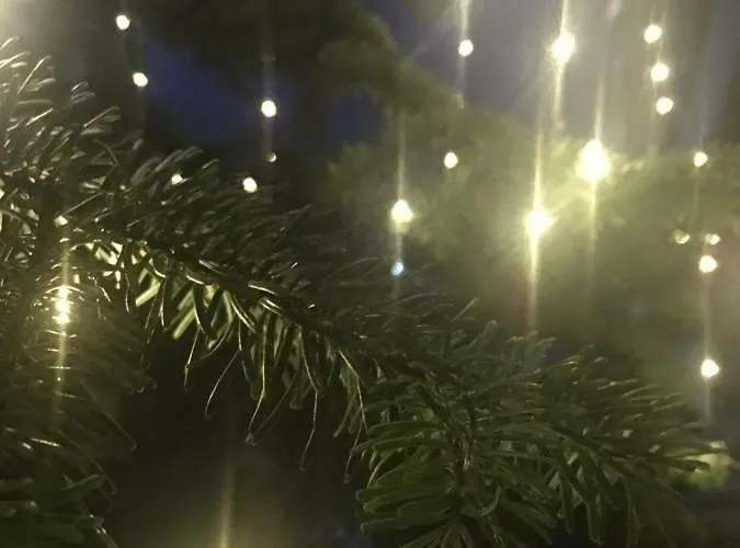 Cozy & Quiet Daire *